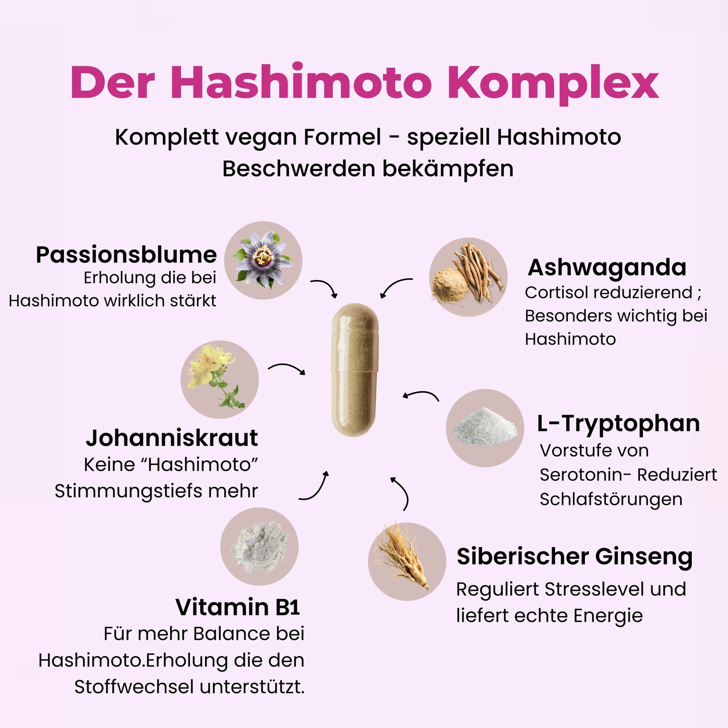 Hashimoto Komplex